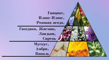 Пирамида
